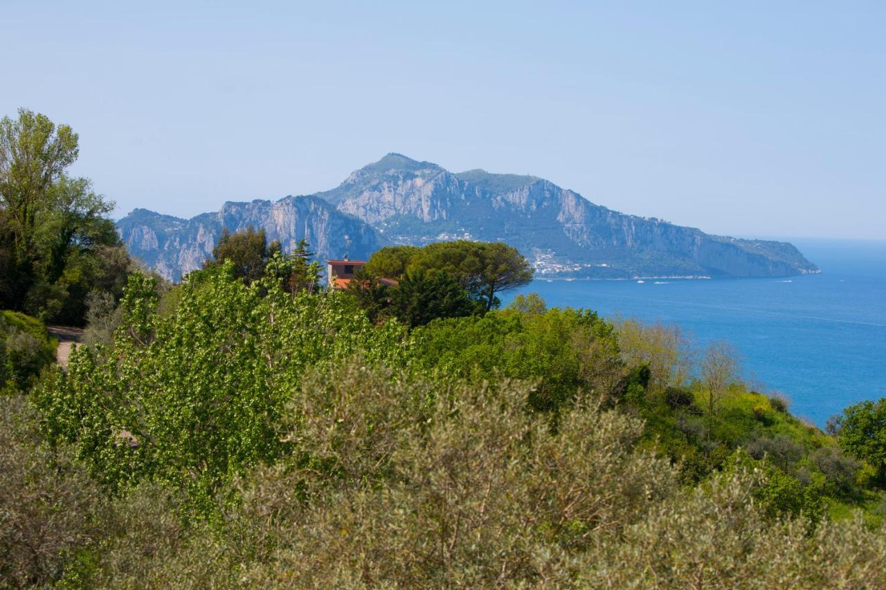 Villa Venus In Penisola Sorrentina 마사루브렌세 외부 사진