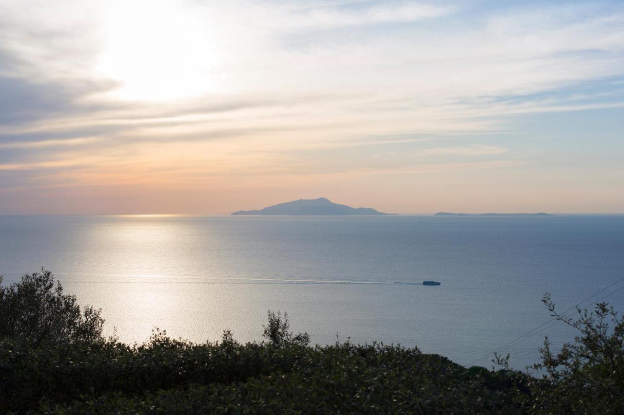 Villa Venus In Penisola Sorrentina 마사루브렌세 외부 사진