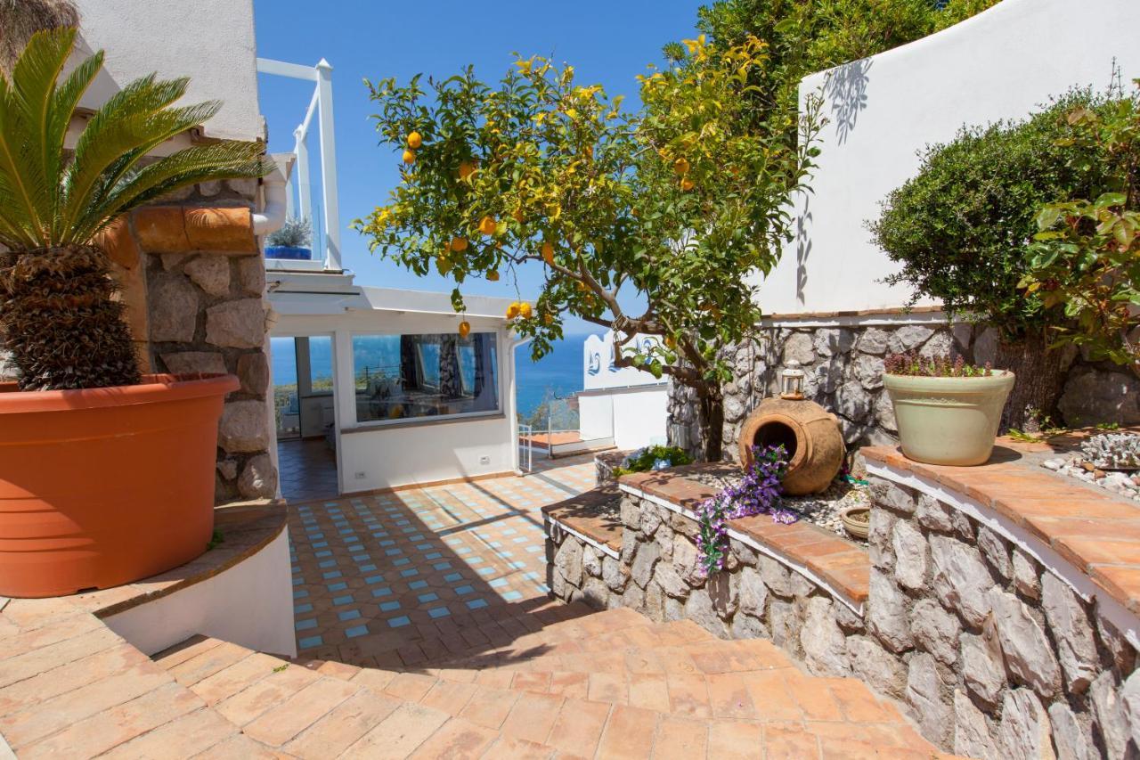 Villa Venus In Penisola Sorrentina 마사루브렌세 외부 사진
