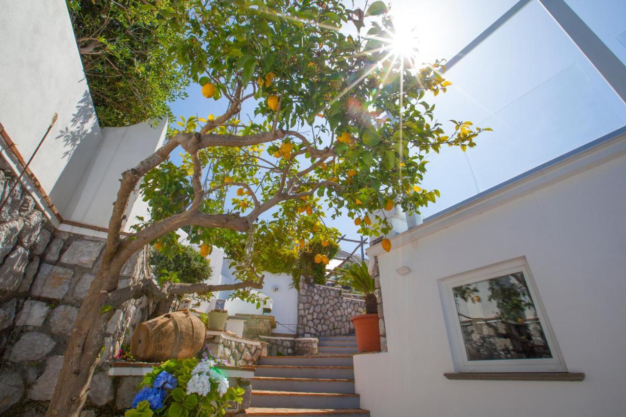 Villa Venus In Penisola Sorrentina 마사루브렌세 외부 사진