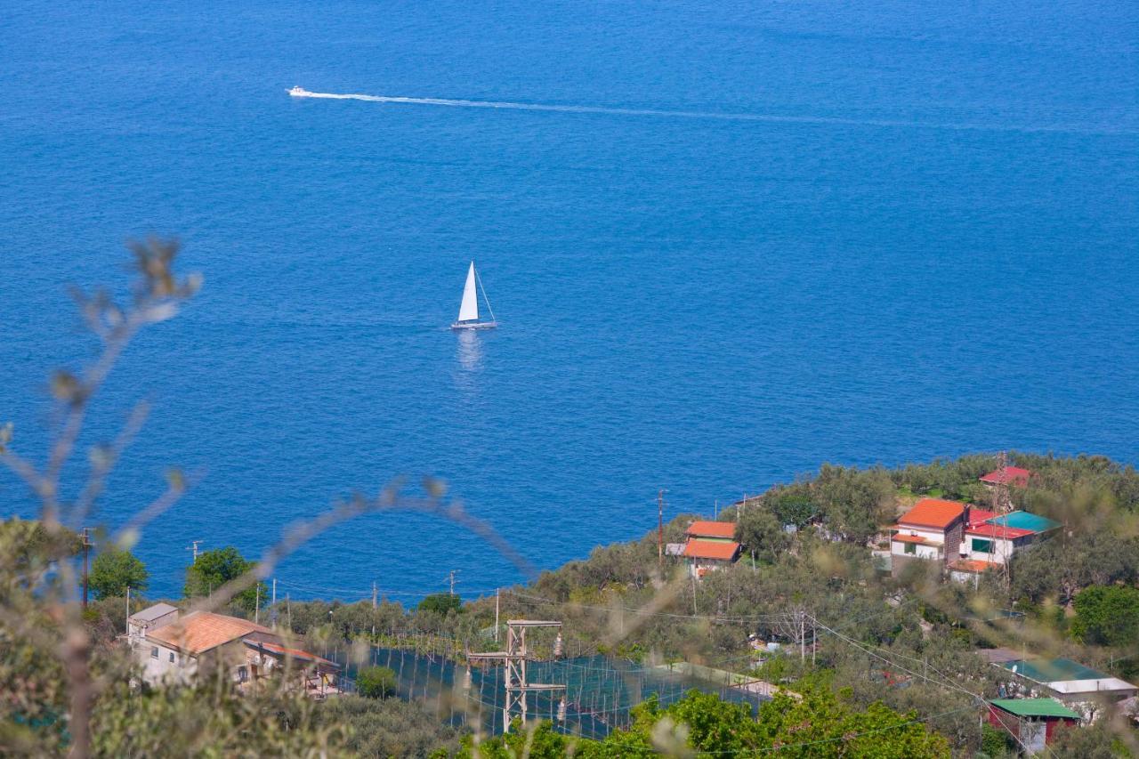 Villa Venus In Penisola Sorrentina 마사루브렌세 외부 사진